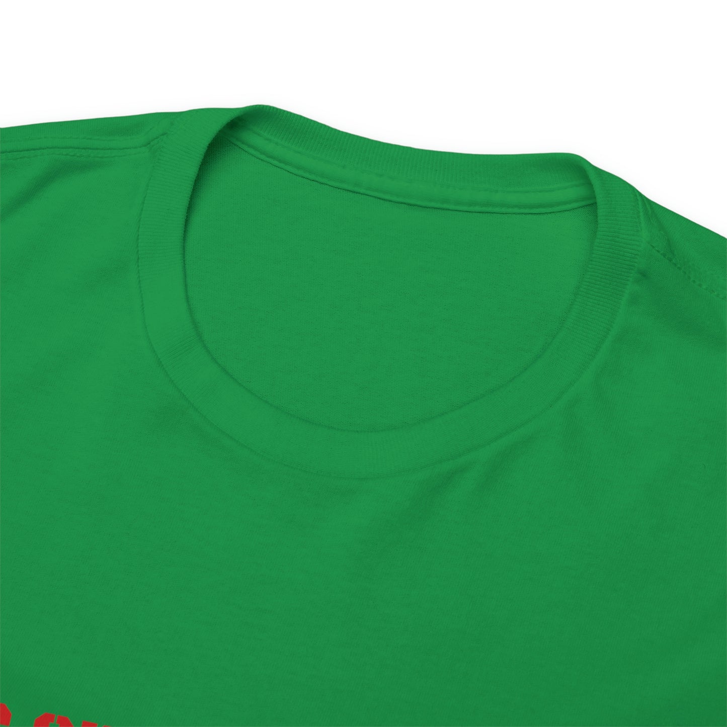 Copy of Copy of Krav Maga Force ( Live on the Dead side ) Unisex Heavy Cotton Tee