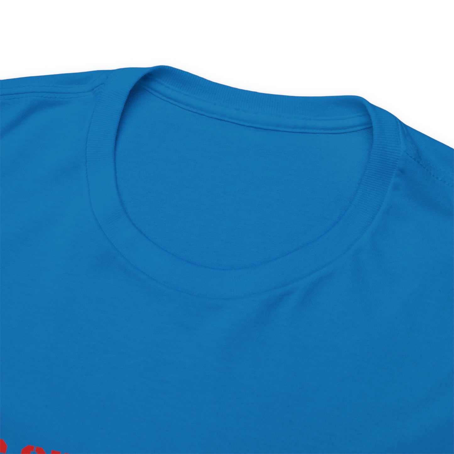 Copy of Copy of Krav Maga Force ( Live on the Dead side ) Unisex Heavy Cotton Tee