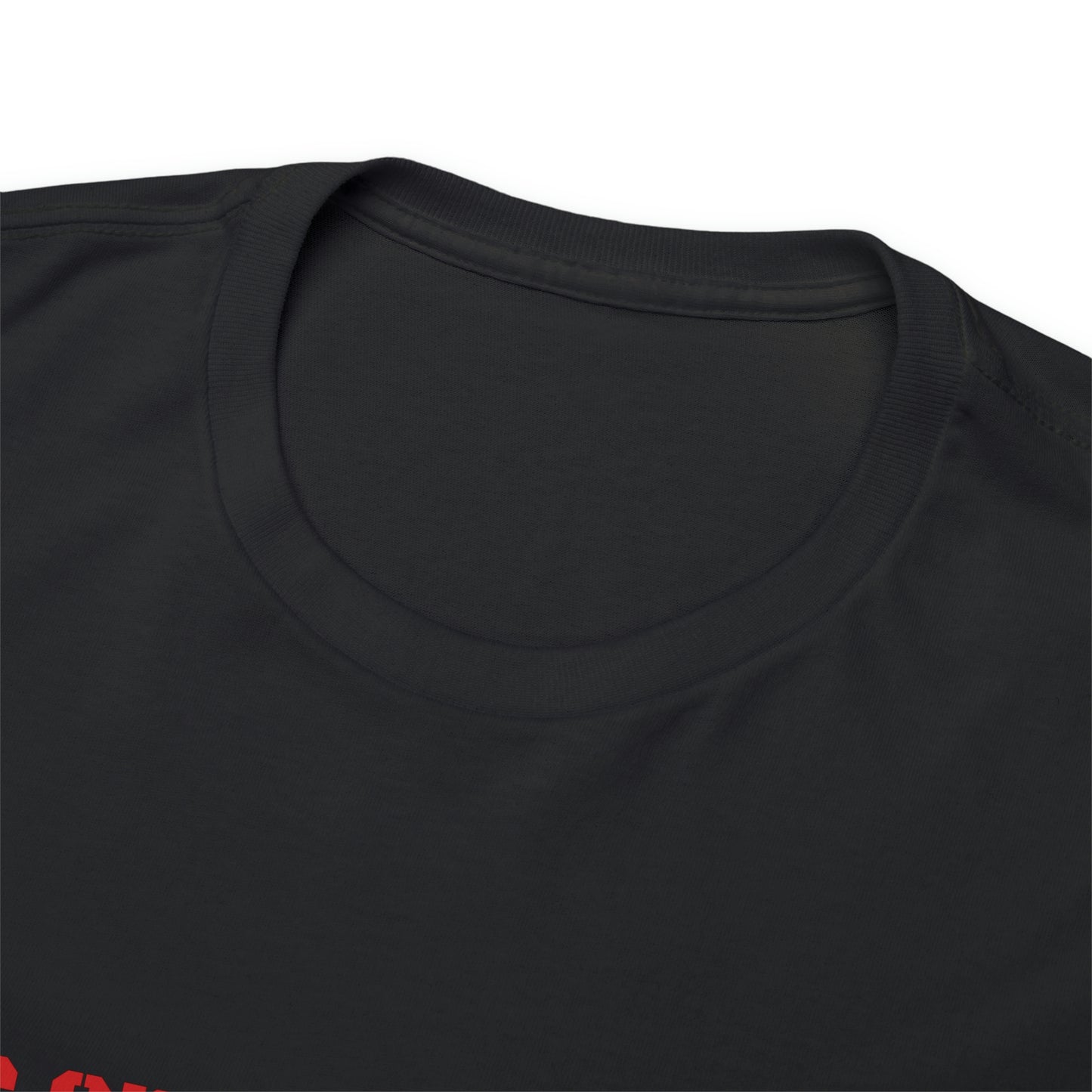 Copy of Copy of Krav Maga Force ( Live on the Dead side ) Unisex Heavy Cotton Tee